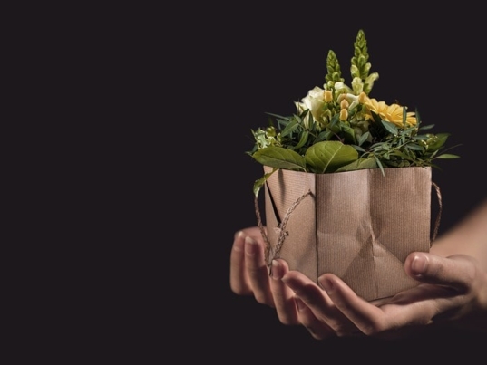 3 regali sostenibili e green per la festa della mamma giada rochetto