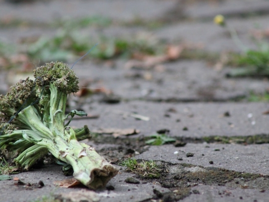 broccoli-cucina-con-gli-scarti-ikea-scrapsbook-giada-rochetto-cucina-del-riciclo