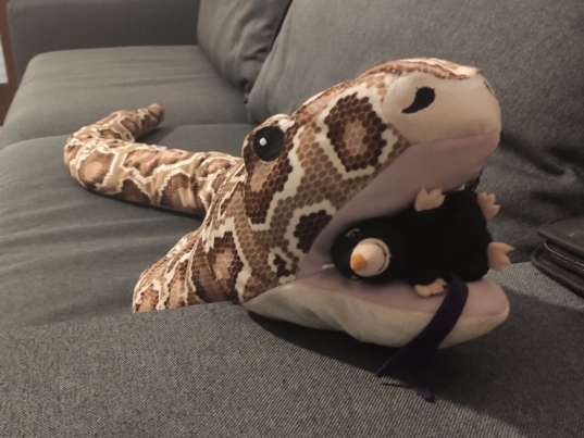 serpente con topo in bocca